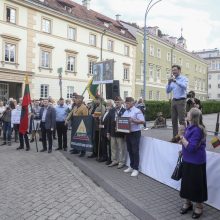 Mitingas S. Daukanto aikštėje: piktinamasi dėl nukabintos Generolo Vėtros lentos 