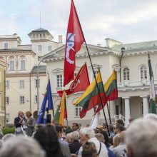 Mitingas S. Daukanto aikštėje: piktinamasi dėl nukabintos Generolo Vėtros lentos 