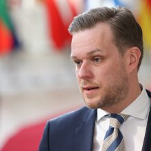 G. Landsbergis pritartų pilietybės atėmimui iš M. Drobiazko