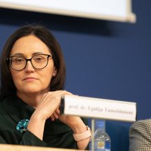 Teisėja E. Tamošiūnienė: esminė teismų sistemos problema – netolygus darbo krūvio pasiskirstymas