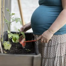 Nuo nėštumo nesisauganti keturiasdešimtmetė moteris pastojo 17-ąjį kartą