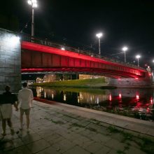 Vilnius palaiko dėl demokratijos kovojančius baltarusius