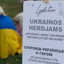 Karo muziejaus sodelyje iškilo akmenų kalnelis Ukrainos kovotojams