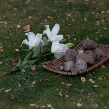 Karo muziejaus sodelyje iškilo akmenų kalnelis Ukrainos kovotojams