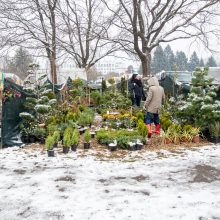 Tarptautinė paroda „Ką pasėsi... 2018“ glosto ūkininkų širdis