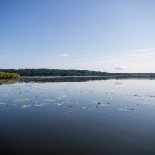 Kauno marių saloje robinzonai valgė kirmėles