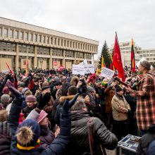 Tūkstantinė minia suplūdo į A. Tapino sušauktą mitingą prie Seimo <span style=color:red;>(vaizdo įrašas)</span>
