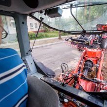 Konfliktas dėl medžių Kaune – su provokacijos elementais