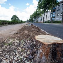 Konfliktas dėl medžių Kaune – su provokacijos elementais