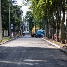 Konfliktas dėl medžių Kaune – su provokacijos elementais