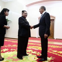 S. Lavrovo vizitas Š. Korėjoje: kokių interesų turi abi šalys
