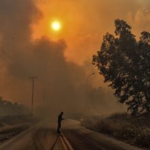 Pražūtingi gaisrai Graikijoje: nelaimės aukų padaugėjo iki 79