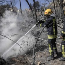 Gaisras Izraelyje numalšintas, sulaikyti penki įtariamieji