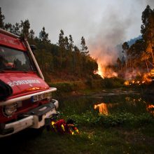 Portugalijoje – didžiulis miško gaisras, žuvo 62 žmonės 