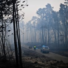 Portugalijoje – didžiulis miško gaisras, žuvo 62 žmonės 