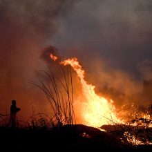 Su miškų gaisrais kovojančioje Portugalijoje suimtas 61 įtariamas padegėjas