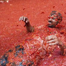 Tonas pomidorų Ispanijoje svaidė tūkstančiai žmonių
