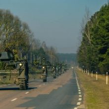 Lietuva kitąmet budės ES ir NATO greitojo reagavimo pajėgose