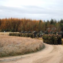 Lietuva kitąmet budės ES ir NATO greitojo reagavimo pajėgose
