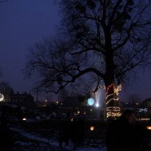 Kopūstų lauke – balzaminės tuopos šventė 