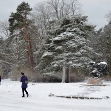 Palangoje – dvi čiuožyklos žiemos sporto mėgėjams