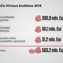 Vilniaus biudžetas šiemet turėtų būti didesnis