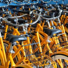 Policija Klaipėdoje pažymėjo 100 oranžinių dviračių