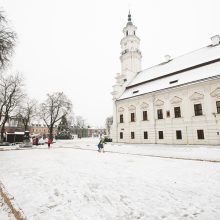 Lauko čiuožyklos Kaune