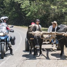 Įspūdinga lietuvių kelionė motociklais: per 640 dienų aplankė 45 šalis