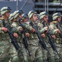 D. Grybauskaitė kartvelų kalba sveikino Sakartvelo žmones