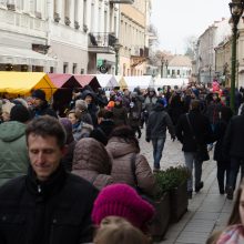 Kazimiero mugės žvaigždė – avytė Kalėdytė