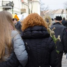 Kazimiero mugės žvaigždė – avytė Kalėdytė