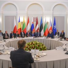 D. Grybauskaitė: be vienybės NATO gresia tapti nereikalinga
