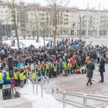 V. Landsbergiui įteiktas „Neužmirštuolės“ medalis