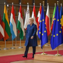 D. Grybauskaitė pasigenda konkretumo siūlant sudaryti euro zonos biudžetą