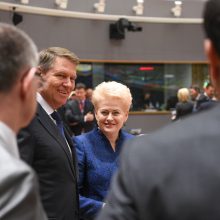 D. Grybauskaitė pasigenda konkretumo siūlant sudaryti euro zonos biudžetą