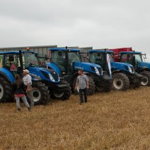 Kauno rajone paskelbta javapjūtės pradžia 