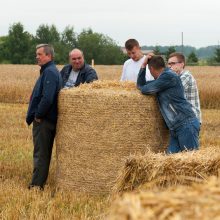 Kauno rajone paskelbta javapjūtės pradžia 