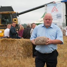 Javų derlius bus panašus kaip pernai?