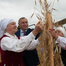 Javų derlius bus panašus kaip pernai?