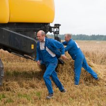 Kauno rajone paskelbta javapjūtės pradžia 