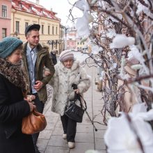 Graži akcija: nepagailėjo laiko senolius palydėti prie miesto eglės