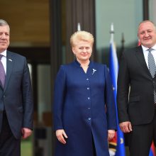 D. Grybauskaitė kartvelų kalba sveikino Sakartvelo žmones