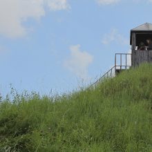 Mokslo festivalyje – rekordinis lankytojų skaičius