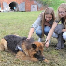 Mokslo festivalyje – rekordinis lankytojų skaičius