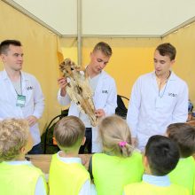 Mokslo festivalyje – rekordinis lankytojų skaičius