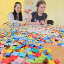 Mokslo festivalyje – rekordinis lankytojų skaičius