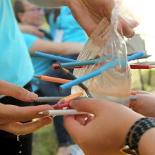 Mokslo festivalyje – rekordinis lankytojų skaičius