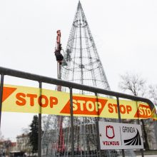 Šiemet sostinėje iškils brangesnės miesto eglutės