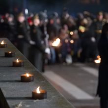 Virš tūkstančio žmonių Laisvės gynėjų dieną minėjo prie Seimo